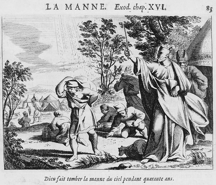 Im Vordergrund Moses, der mit seinem Prophetenstab zum Himmel weist - hinter ihm sein Bruder Aaron im hohepriesterlichen Gewand. Der Hauptteil des Bildes bietet einen Blick auf das Lager der Wandernden, die mit Säcken und Körben das vom Himmel herabströmende Manna aufsammeln.